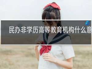 民办非学历高等教育机构什么意思