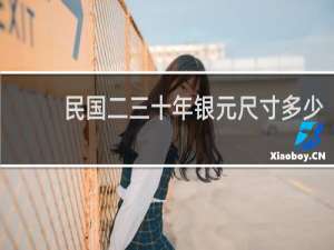 民国二三十年银元尺寸多少