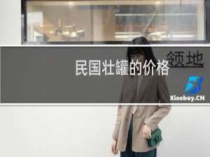 民国壮罐的价格