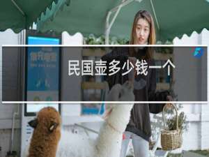 民国壶多少钱一个