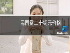 民国當二十铜元价格