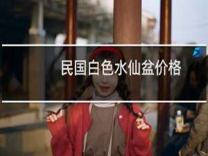 民国白色水仙盆价格