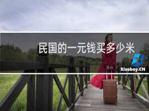 民国的一元钱买多少米