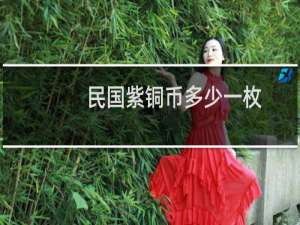 民国紫铜币多少一枚