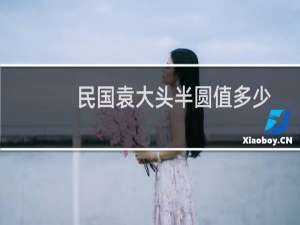 民国袁大头半圆值多少