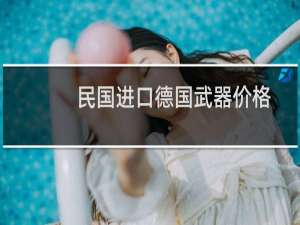 民国进口德国武器价格