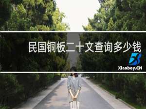 民国铜板二十文查询多少钱