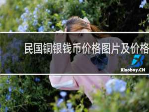 民国铜银钱币价格图片及价格