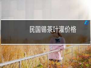 民国锡茶叶灌价格