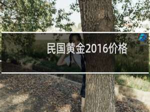 民国黄金2016价格