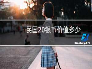 民国20银币价值多少