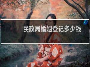 民政局婚姻登记多少钱
