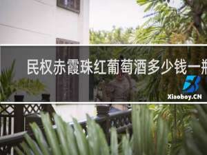 民权赤霞珠红葡萄酒多少钱一瓶