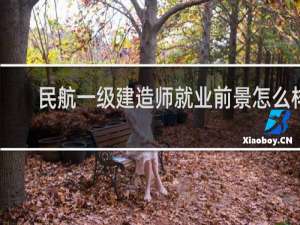 民航一级建造师就业前景怎么样