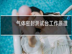 气体密封测试台工作原理