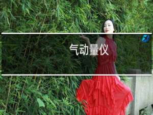 气动量仪