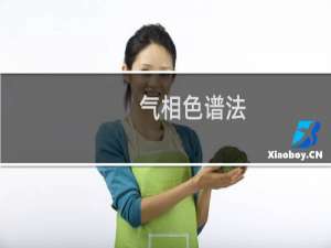 气相色谱法 英文