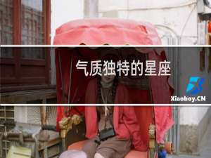 气质独特的星座