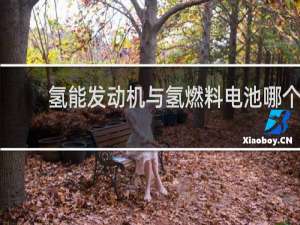 氢能发动机与氢燃料电池哪个好