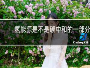 氢能源是不是碳中和的一部分