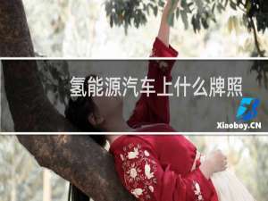 氢能源汽车上什么牌照