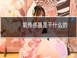 氧传感器是干什么的