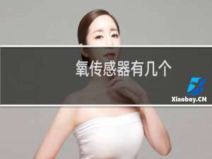 氧传感器有几个