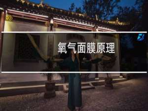 氧气面膜原理