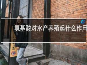 氨基酸对水产养殖起什么作用