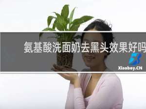 氨基酸洗面奶去黑头效果好吗