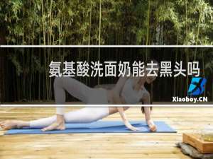 氨基酸洗面奶能去黑头吗
