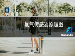 氨气传感器原理图