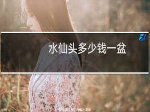水仙头多少钱一盆
