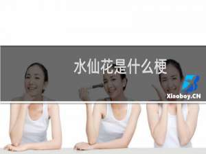 水仙花是什么梗