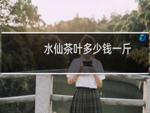 水仙茶叶多少钱一斤