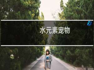 水元素宠物