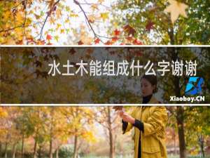 水土木能组成什么字谢谢