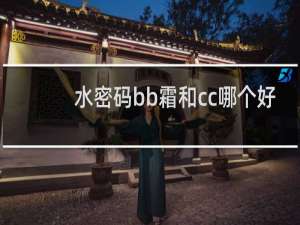 水密码bb霜和cc哪个好