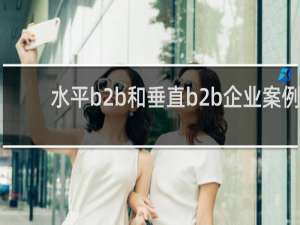 水平b2b和垂直b2b企业案例