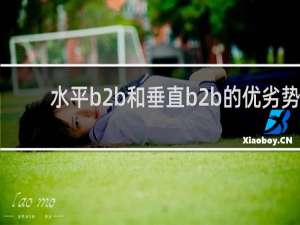 水平b2b和垂直b2b的优劣势