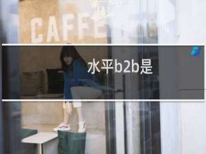 水平b2b是