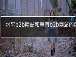 水平b2b网站和垂直b2b网站的区别
