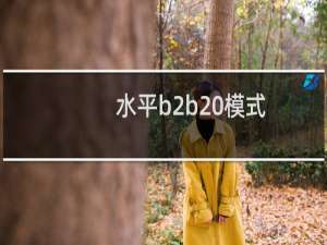 水平b2b 模式