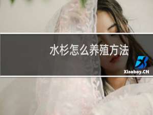 水杉怎么养殖方法