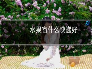 水果寄什么快递好