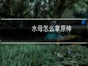 水母怎么拿原神