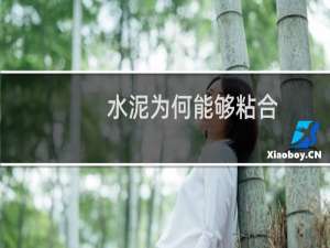 水泥为何能够粘合