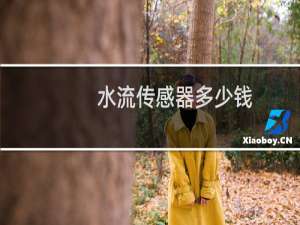 水流传感器多少钱