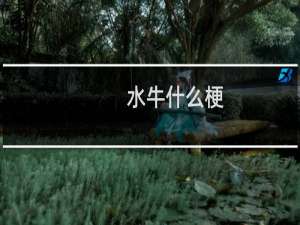水牛什么梗