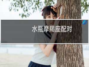 水瓶摩羯座配对